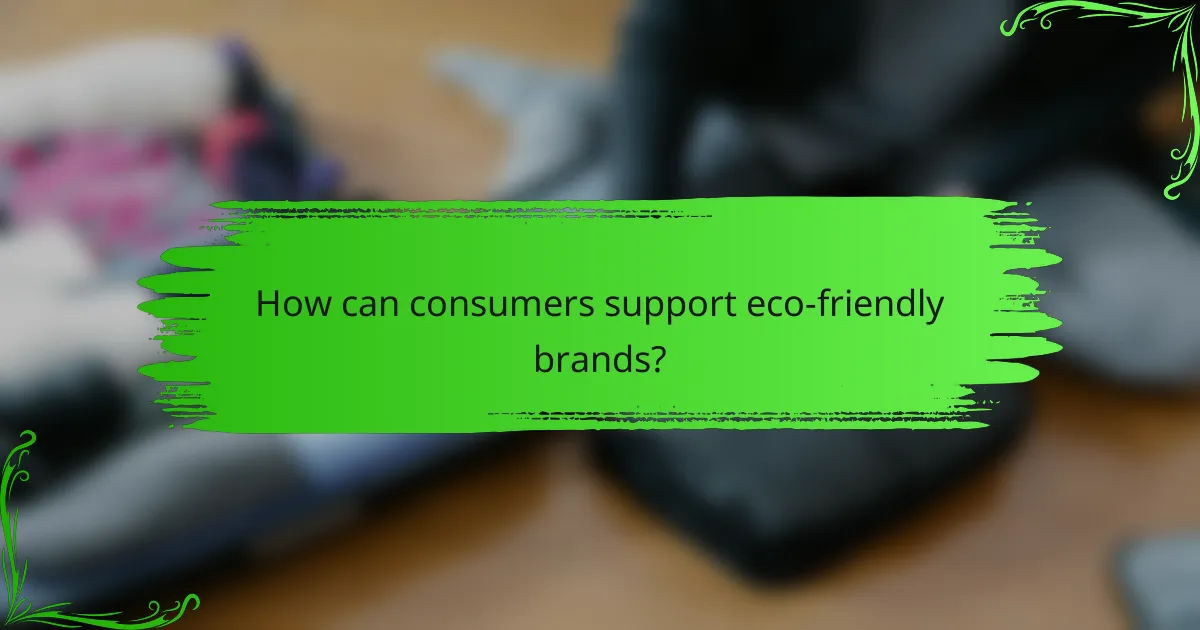 How can consumers support eco-friendly brands?