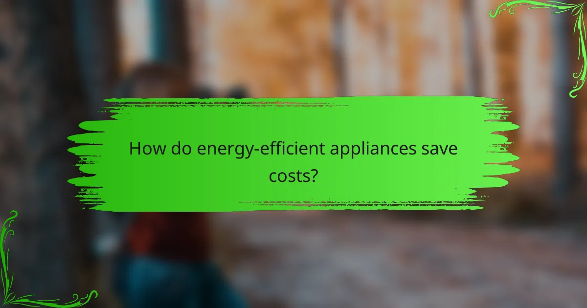How do energy-efficient appliances save costs?
