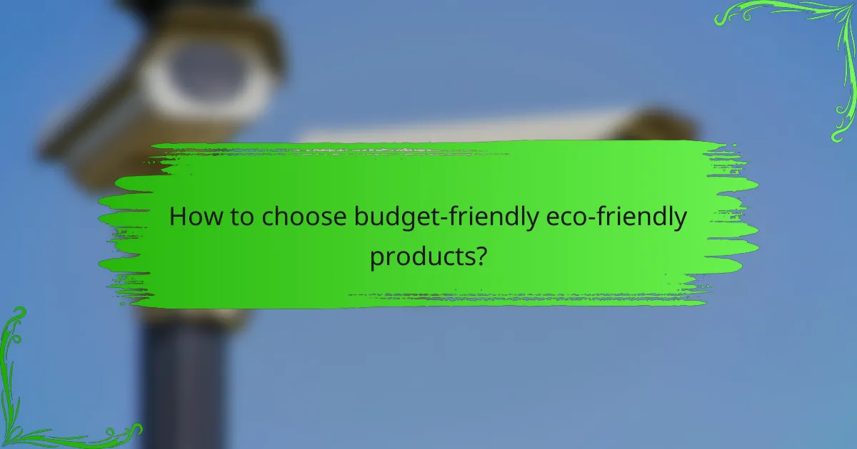 How to choose budget-friendly eco-friendly products?