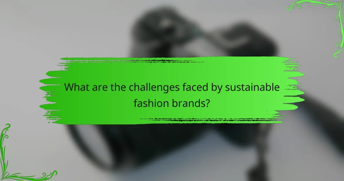 What are the challenges faced by sustainable fashion brands?