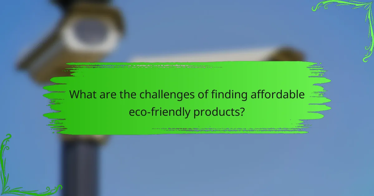 What are the challenges of finding affordable eco-friendly products?