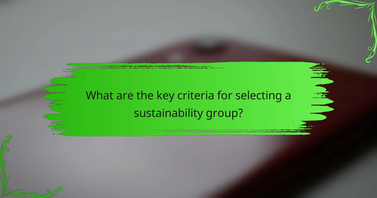 What are the key criteria for selecting a sustainability group?
