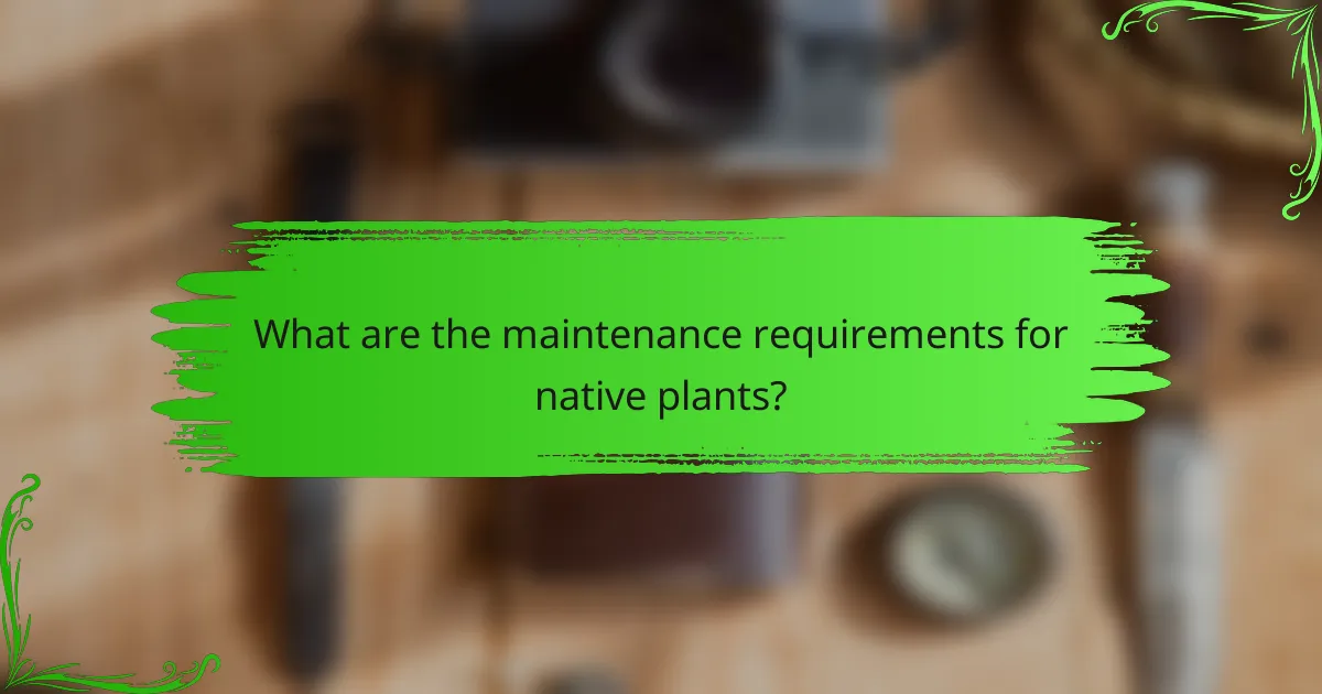 What are the maintenance requirements for native plants?