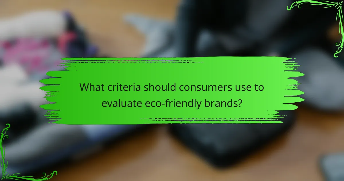 What criteria should consumers use to evaluate eco-friendly brands?