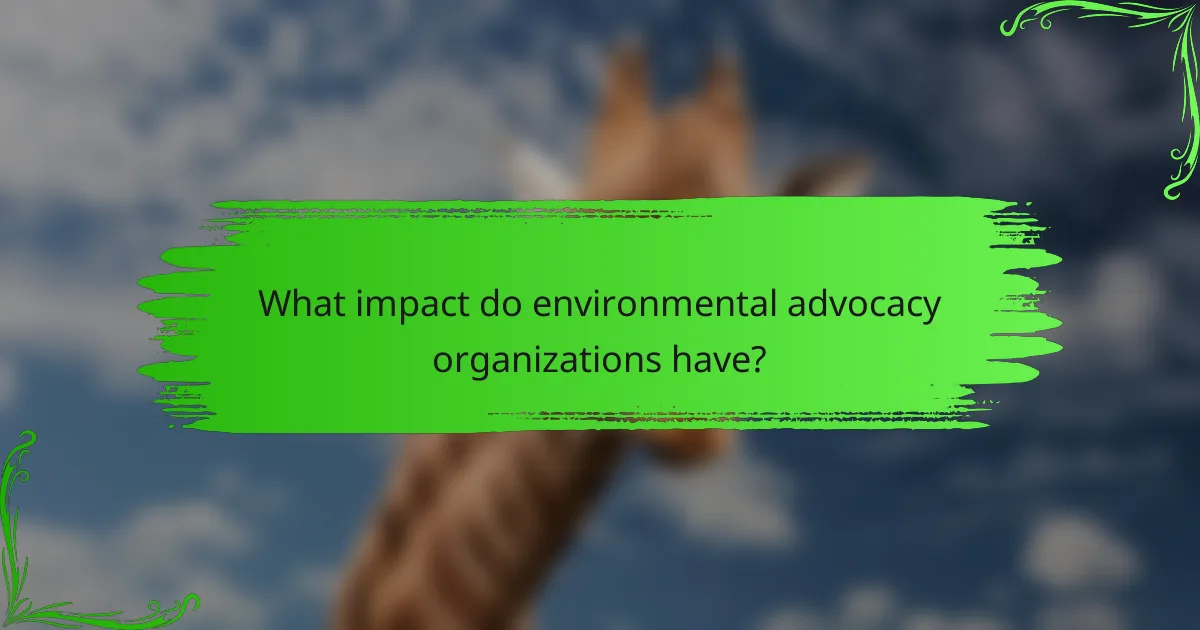 What impact do environmental advocacy organizations have?